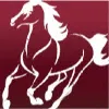 Mustang Technologies Mustang Technologies