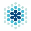 Insight Branding Insight Branding
