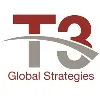 T3 Global Strategies, Inc. T3 Global Strategies, Inc.