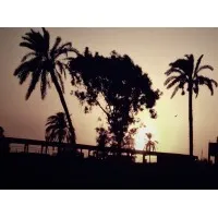 Google World - عالم جوجل