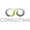 CSO Consulting