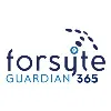 Forsyte I.T. Solutions Forsyte I.T. Solutions