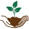 Seed St. Louis Seed St. Louis