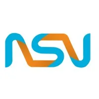 NSV Inc