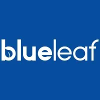 Blueleaf Wealth