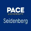 Pace University - Seidenberg School of Computer Science and Information Systems Pace University - Seidenberg School of Computer Science and Information Systems