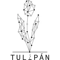 Tulipan 1637