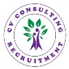 CV Consulting