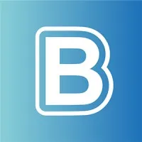 Bestway Global Holding Inc