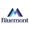 Bluemont Associates