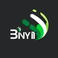 BIN Y IT GLOBAL LTD