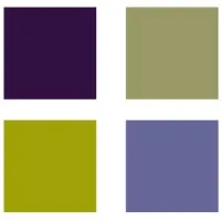 T2 Asset Management, LLC