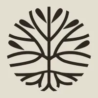 Aligned Modern Health Aligned Modern Health