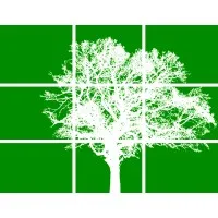 National Environmental Services