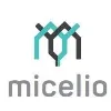 Micelio Micelio
