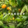 Hipgroup