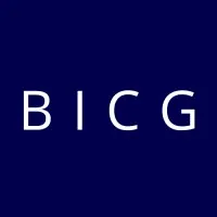 Business Intelligence Consulting Group