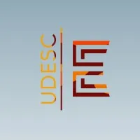 E-Force UDESC - Formula SAE Team