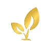 Carpe Diem Wealth Management Inc Carpe Diem Wealth Management Inc