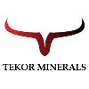 Tekor Minerals Tekor Minerals