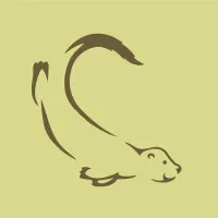 Otter Audit and Consultancy Services Ltd