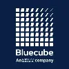 Bluecube Technology Solutions - An Ekco Company Bluecube Technology Solutions - An Ekco Company