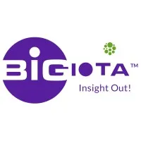 Bigiota Analytics LLP