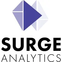 Surge Analytics Inc.