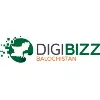 DigiBizz Freelancing & Entrepreneurship Program Balochistan DigiBizz Freelancing & Entrepreneurship Program Balochistan