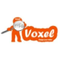 Voxel Info India Private Limited