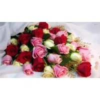 MyFlowerTree MyFlowerTree