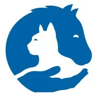 International Veterinary Outreach