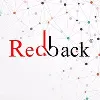 Redback IT Solutions Private Limited