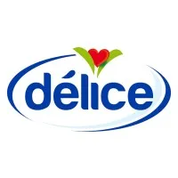 Délice Holding