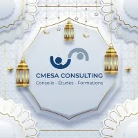 CMESA Consulting CMESA Consulting