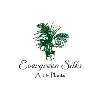 Evergreen Silks NC INC Evergreen Silks NC INC