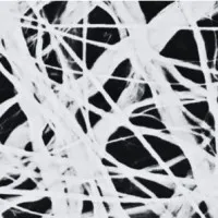 Connective Tissue Connective Tissue