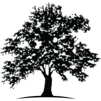 White Oak Global Advisors