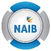NAIB IT NAIB IT