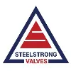 STEELSTRONG VALVES (I) PVT LTD
