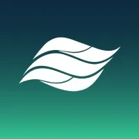 Dinâmica Consultoria