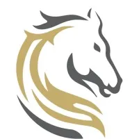 Stallions Solutions - Microsoft Gold Partner