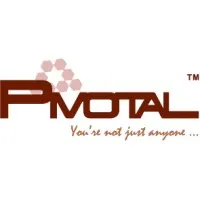 Pivotal Career Solutions