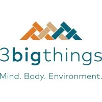 3 Big Things