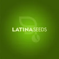 Latina Seeds Latina Seeds