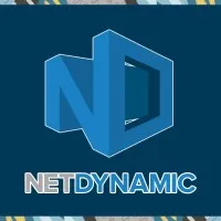 NetDynamic Consulting Inc.