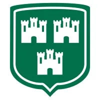 Branford Castle Partners, L.P.