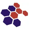 Cyberace Infovision Private Limited Cyberace Infovision Private Limited