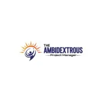 The Ambidextrous Project Manager (TAPM™) The Ambidextrous Project Manager (TAPM™)