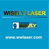 Wisely Laser Machinery Limited Wisely Laser Machinery Limited